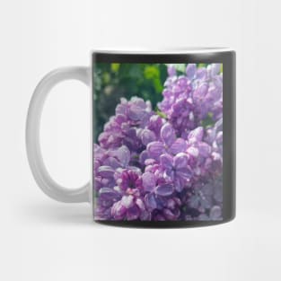 Sweet Purple Lilac in the Rain Mug